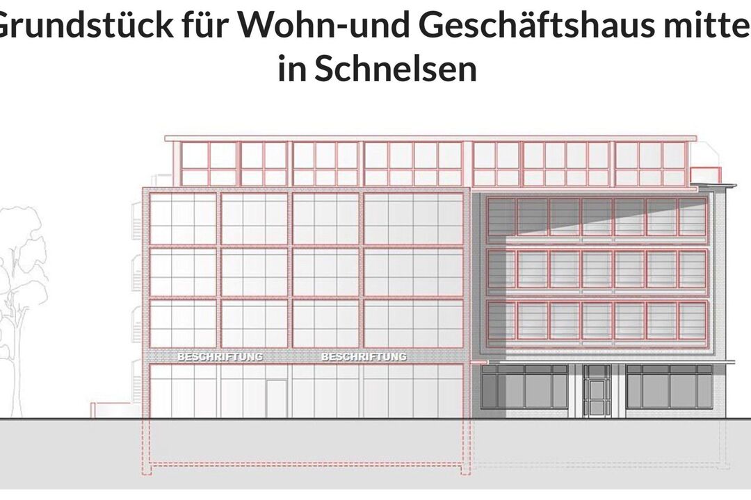Holsteiner